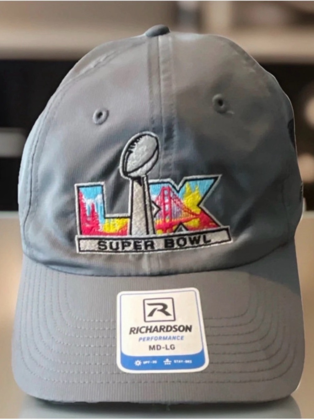 Vintage Super Bowl LIX  Philadelphia Eagles Gray Performance Hat, Size M-L